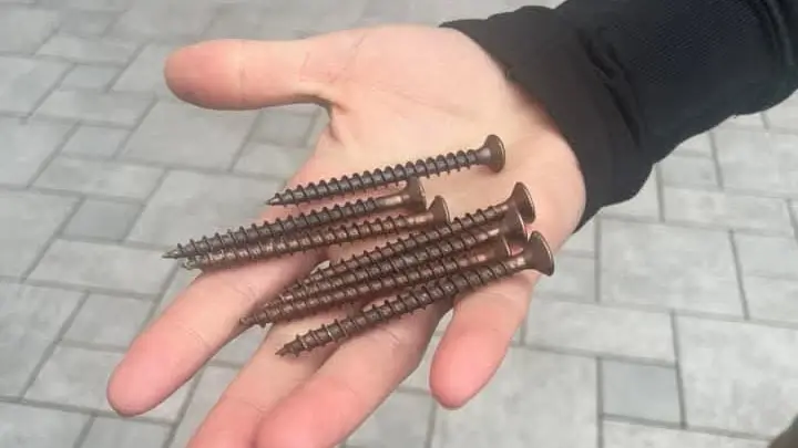 Le viti trovate sulla strada - © www.giornaledibrescia.it