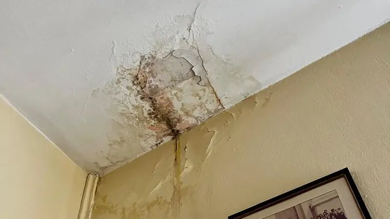 Le infiltrazioni sul soffitto della casa di Marino - © www.giornaledibrescia.it