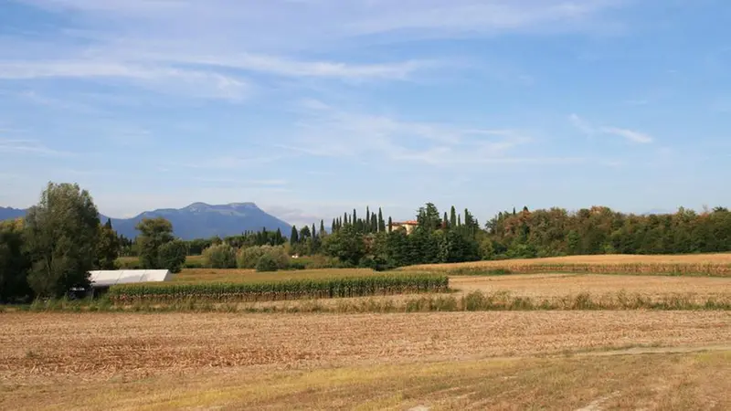 La passeggiata nell'oasi del lago Lucone si snoda comoda tra i campi e le vigne della Valtenesi