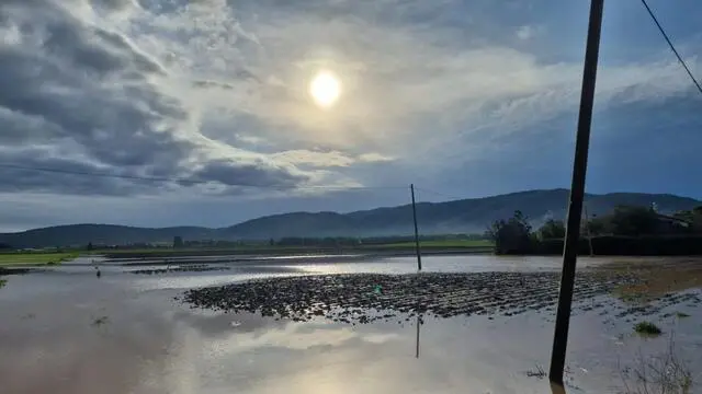 I danni all'agricoltura causati dall'ondata di maltempo che si e' abbattuta in provincia di Grosseto tra Orbetello, Albinia e Manciano, 13 febbraio 2025. Le violente precipitazioni che hanno interessato la scorsa notte la Maremma e l'arcipelago della Toscana hanno scaricato a terra in poche ore oltre 100 millimetri di pioggia mandando in tilt il reticolo idraulico. ANSA/ MATTEO ALFIERI