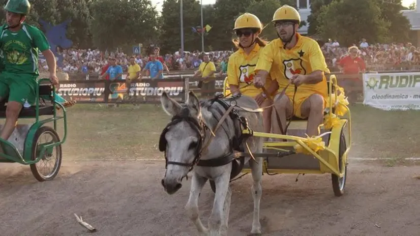 L'asino Sole ha corso per il 18 volte il Palio di Novagli per la contrada Mattina