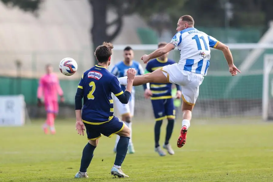 Serie D, gli scatti di Pro Palazzolo-Ciliverghe