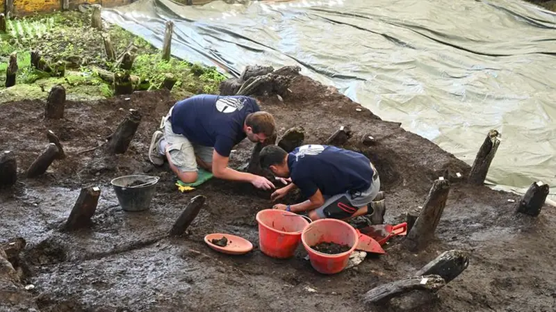 Operazioni di recupero al sito palafitticolo del lago Lucone