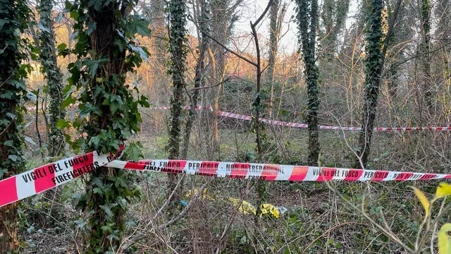 Foto della nostra collaboratrice Benedetta Moro Fiaccolata a Trieste nel rione San Giovanni per Liliana Resinovich. Presente il marito Sebastiano Visintin. Due foto del luogo del ritrovamento del cadavere di donna mercoledì 5 nel parco San Giovanni E poi foto del marito di Liliana, Sebastiano Visintin