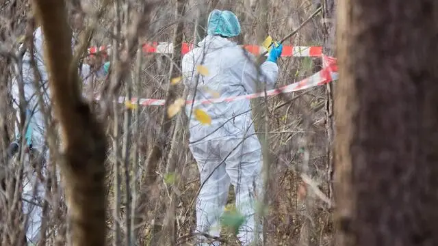 Poliziotti durante le perlustrazioni in un bosco di Celle, in Germania, in una foto d'archivio del 2016. ANSA/JULIAN STRATENSCHULTE