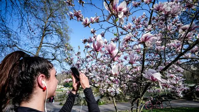 Molte persone si godono la giornata di inizio primavera al parco del Valentino. Torino 21 marzo 2024 ANSA/TINO ROMANO