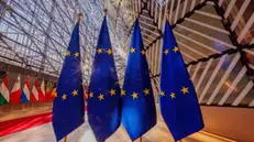 epa11479370 European flags fly at the beginning of the EU Agriculture and Fisheries Council in the EU Council in Brussels, Belgium, 15 July 2024. According to EU Commission, the upcoming meeting of EU Agriculture Ministers will address trade-related agricultural issues and strategies to enhance the long-term sustainability of rural communities. The agenda will also include a focus on generational renewal and demographic trends. EPA/OLIVIER MATTHYS