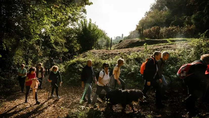 Uno scatto di Giorgio Baioni della sua serie «Monte Orfano» - © www.giornaledibrescia.it