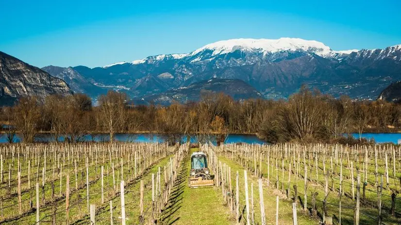 Franciacorta e vino sono da sempre un tutt’uno