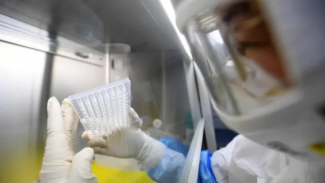 epa08199492 A staffer works in the pop-up Huoyan Laboratory specialized in the nucleic acid test on the novel coronavirus (2019-nCoV) in Wuhan, Hubei province, China, 06 February 2020 (issued 07 February 2020). The P2-level biosafety lab was built in five days, designed to perform 10,000 coronavirus tests per day to cope with the outbreak. The virus, which originated in the Chinese city of Wuhan, has so far killed at least 638 people and infected over 31,000 others, mostly in China. EPA/SHEPHERD ZHOU CHINA OUT