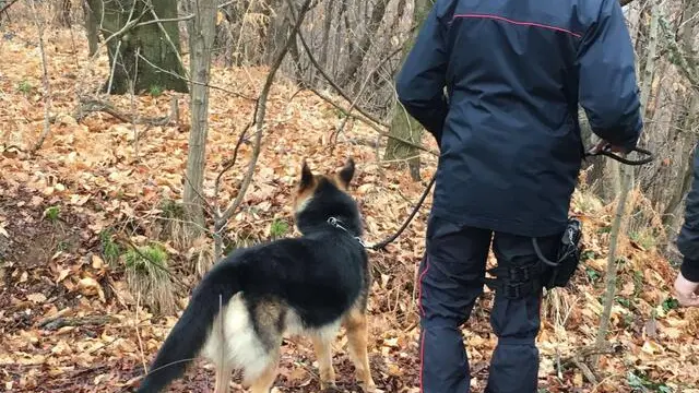 Le nuove ricerche dei carabinieri, con l'ausilio di cani antiespolosivo, della pistola di Gabriele Defilippi, il giovane in carcere per l'omicidio di Gloria Rosboch con la madre, Caterina Abbattista, e con il complice-amante, Roberto Obert, 14 marzo 2016. Il sopralluogo, che ha dato esito negativo, si è svolto nei boschi di Rocca Canavese, dove Obert ha sostenuto di avere seppellito l'arma dopo averla ricevuta da Defilippi. ANSA