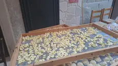 Le pastaie di Bari vecchia, che ogni giorno espongono e vendono in strada le orecchiette fatte in casa, sono in sciopero, 16 novembre 2024. Si tratta di una forma di protesta contro i sospetti che la tipica pasta barese non sia davvero fresca ma comprata e spacciata ai turisti come fatta a mano. A sollevare i dubbi, oltre ad alcuni food influencer sui social, sono stati alcuni servizi giornalistici, che hanno parlato anche di scarse condizioni igieniche nella conservazione dei cibi in ristoranti improvvisati in case private, scatenato qualche reazione violenta delle signore e dei loro parenti. ANSA/ VINCENZO CHIUMARULO