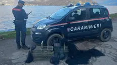 Il materiale sequestrato dai carabinieri