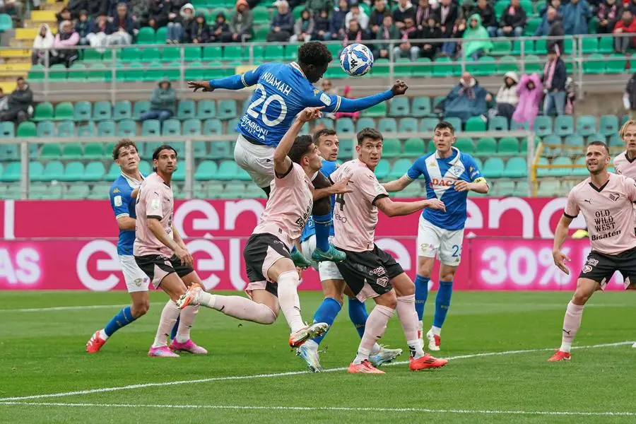 Serie B, gli scatti di Palermo-Brescia