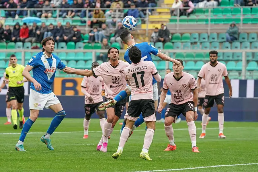 Serie B, gli scatti di Palermo-Brescia