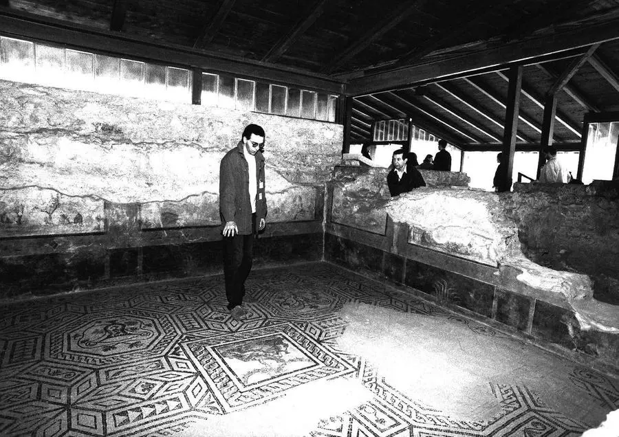 Mosaici pavimentali nella «domus» dell'Ortaglia

