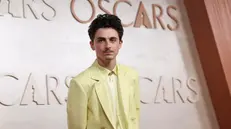 Thimotée Chalamet sul tappeto rosso degli Oscar 2025