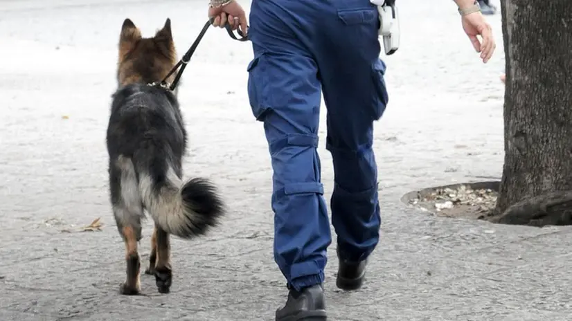 Un cane antidroga in stazione, foto d'archivio - © www.giornaledibrescia.it