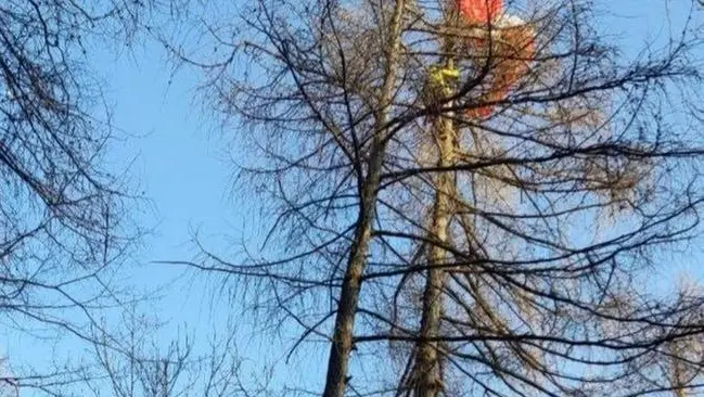 Il parapendio incastrato sull'albero a Portole