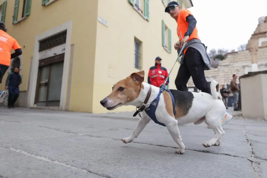 Brescia Art Marathon, i corridori in centro città