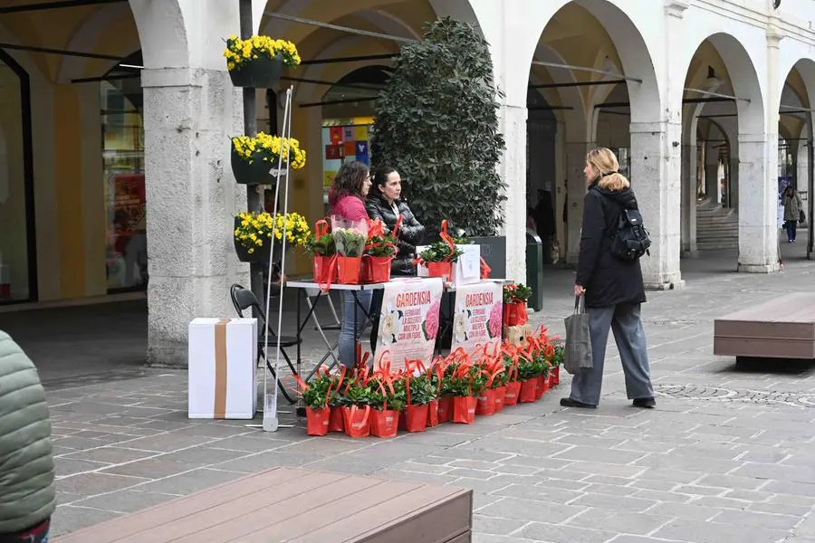 Domenica ecologica a Brescia