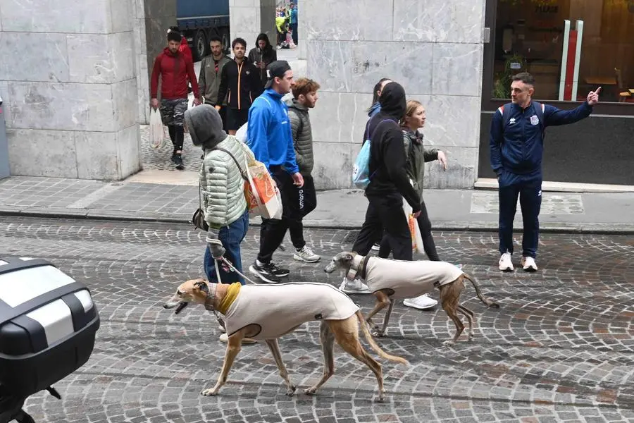 Domenica ecologica a Brescia