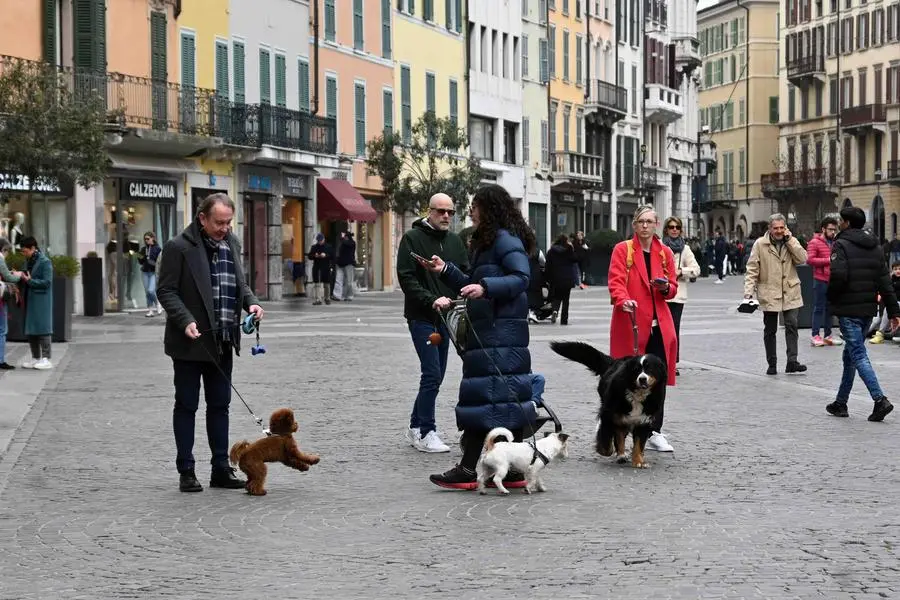 Domenica ecologica a Brescia