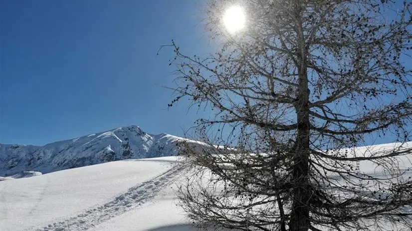 Sulle nevi di Montecampione