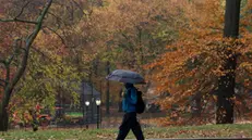 epa11733768 A person walks in the rain with an umbrella at New York Central Park, New York, USA, 21 November 2024. New York City on 18 November issued its first drought warning in over two decades, following months of little rain. EPA/SARAH YENESEL