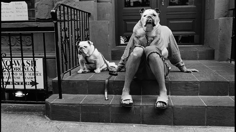 Uno scatto di Elliott Erwitt