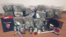 La droga sequestrata dai Carabinieri, 24 ottobre 2024. Coltivava 25 piante di marijuana nella serra del suo giardino in un comune della Vallagarina. A sorprendere l'uomo sono stati i carabinieri di Folgaria, che lo hanno denunciato alla Procura di Rovereto per produzione, traffico e detenzione illecita di stupefacenti. Nell'abitazione dell'uomo - informa l'Arma - sono stati rinvenuti altri 45 frammi di stupefacenti essicati, per un totale complessivo di quasi 2 chili di marijuna, un bilancino elettronico per la pesatura, un sensore di temperatura, un misuratore di acidità e vari grinder. Tutto il materiale è stato posto sotto sequestro dai militari. ANSA/ CARABINIERI +++ ANSA PROVIDES ACCESS TO THIS HANDOUT PHOTO TO BE USED SOLELY TO ILLUSTRATE NEWS REPORTING OR COMMENTARY ON THE FACTS OR EVENTS DEPICTED IN THIS IMAGE; NO ARCHIVING; NO LICENSING +++ NPK +++