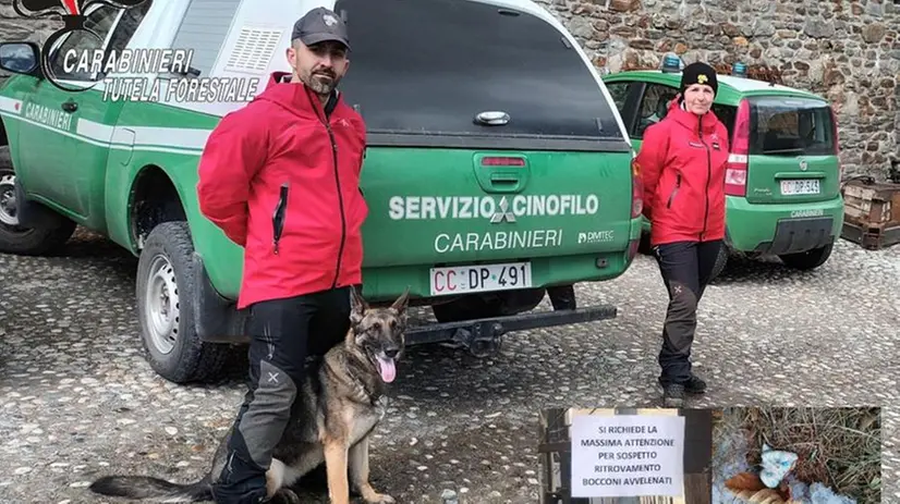 I Carabinieri Forestali al lavoro a Villa Dalegno, frazione di Ponte di Legno © www.giornaledibrescia.it