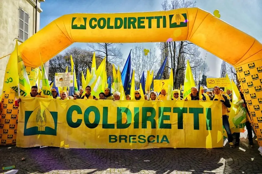 La manifestazione di Coldiretti a Parma contro il cibo sintetico