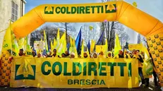 La manifestazione di Coldiretti a Parma contro il cibo sintetico