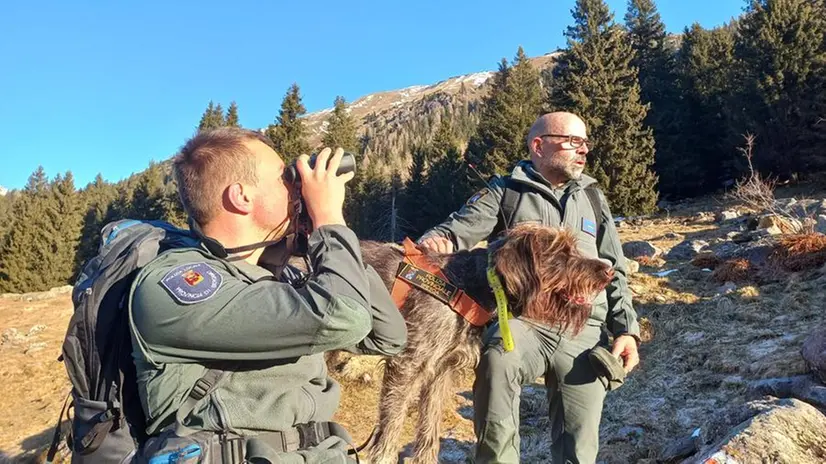 Il cane-agente Sole insieme a due agenti della Polizia provinciale - Provincia di Brescia © www.giornaledibrescia.it