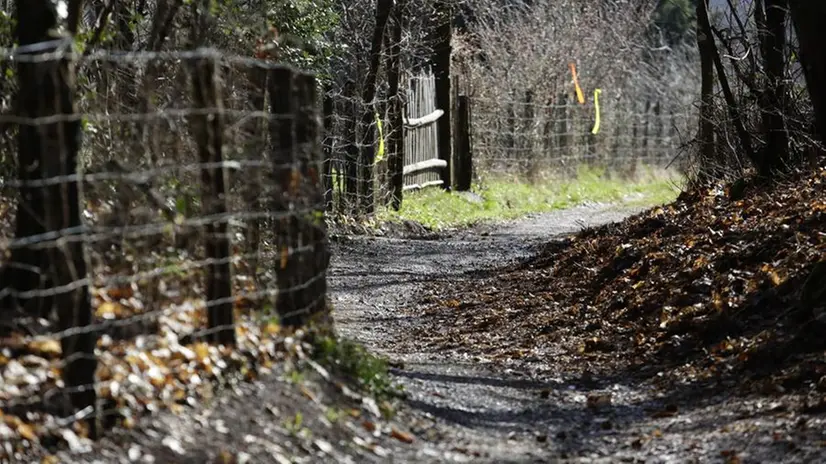 Alcuni scatti del trail