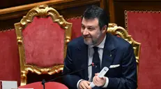 Il vicepremier e ministro delle Infrastrutture e dei Trasporti, Matteo Salvini, durante il question time al Senato, Roma, 13 marzo 2025. ANSA/ETTORE FERRARI