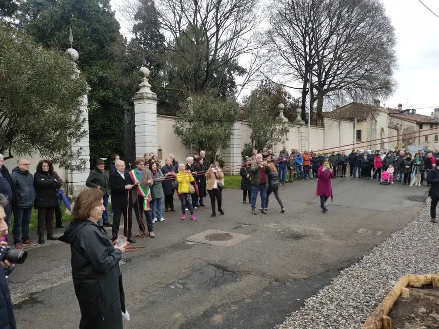 La piantumazione dei platani davanti a Villa Mazzola Panciera