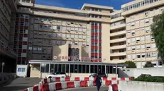 Ospedale Vito Fazzi di Lecce