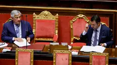 Il ministro degli Affari Esteri, Antonio Tajani (S) ed il ministro dei trasporti, Matteo Salvini durante il question time al Senato, Roma 12 settembre 2024. ANSA/FABIO FRUSTACI