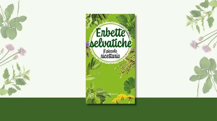 «Erbette selvatiche. Il piccolo ricettario» (Editoriale Programma, pp.128)