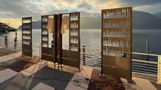 Pesci in corten, ceramica raku e reti sul lungolago: l'installazione «Philìa» a Marone