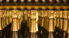 Bottiglie di Franciacorta