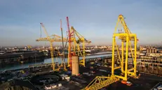 Le grandi gru nel porto di Trieste installate da Tm di Brescia - © www.giornaledibrescia.it