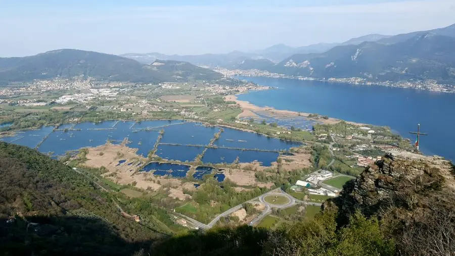Le Torbiere del Sebino