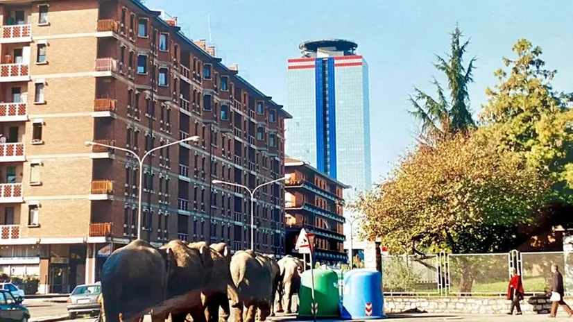 Nelle foto del 1998, gli elefanti a Brescia Due