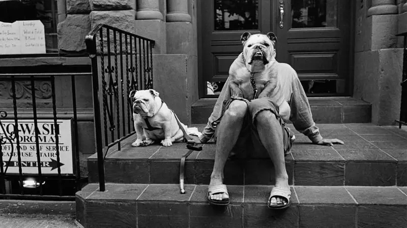 Uno scatto di Elliott Erwitt