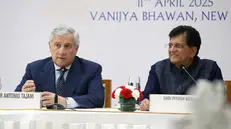Il ministro degli Esteri Tajani durante la visita in India - Ansa © www.giornaledibrescia.it
