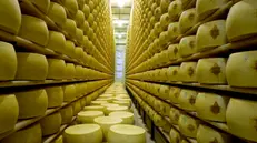 La produzione di forme è aumentata del 3,2% - Foto di archivio