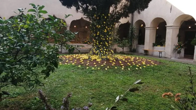 Giardini d'agrumi a Gargnano